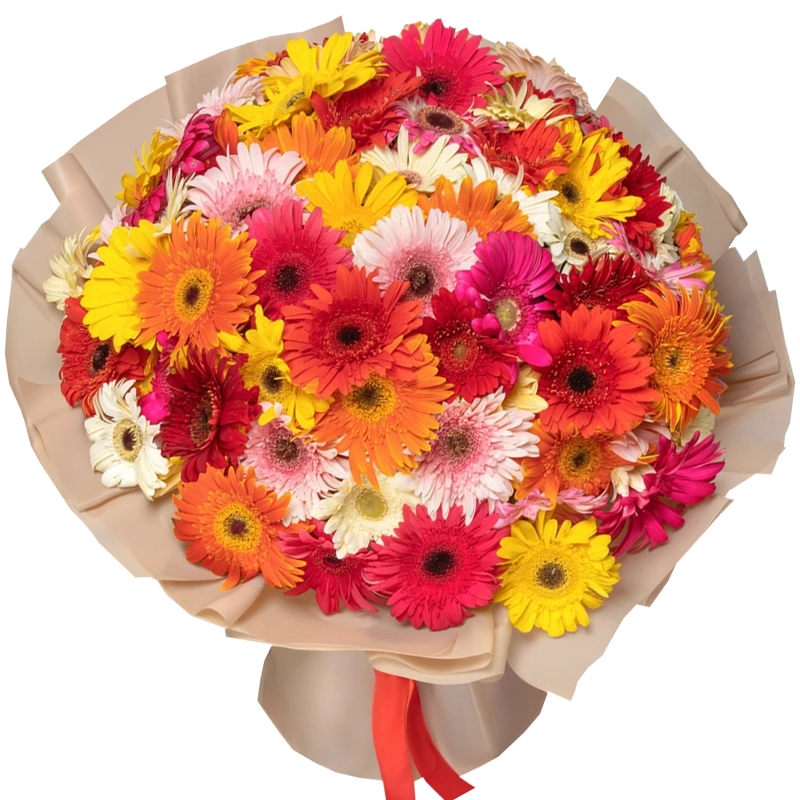 Букет из 101 яркой герберы