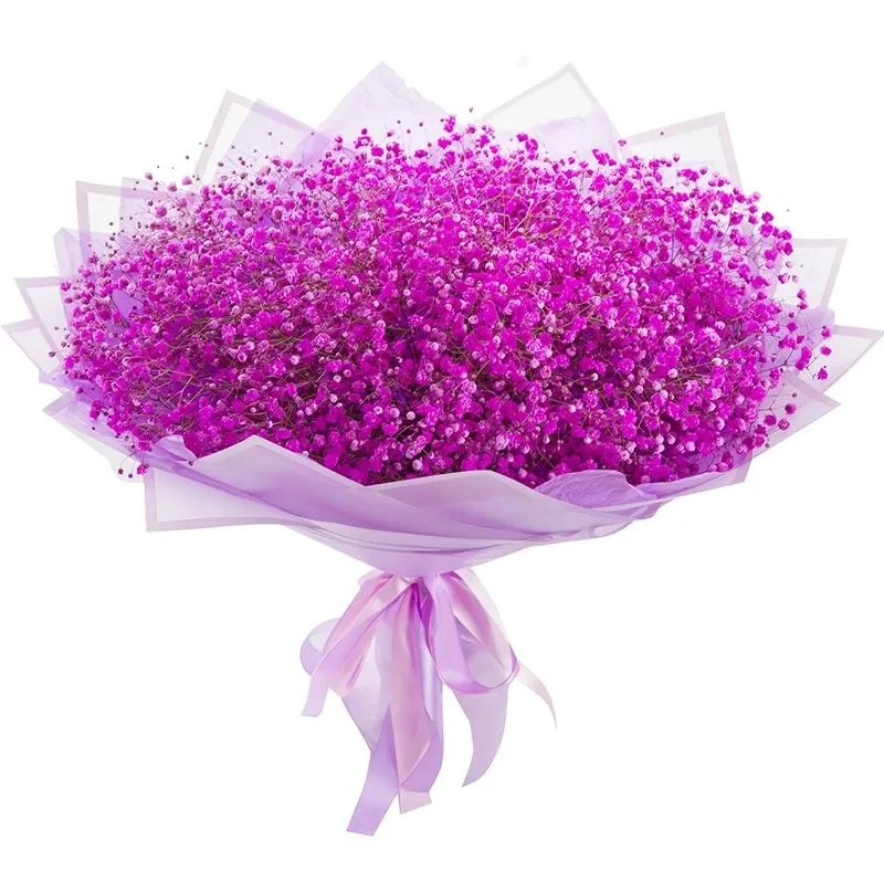 Гипсофилы розовые