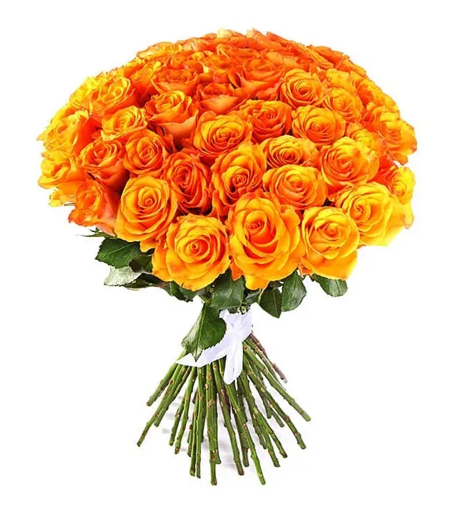 Розы Эквадор микс желто-оранжевые