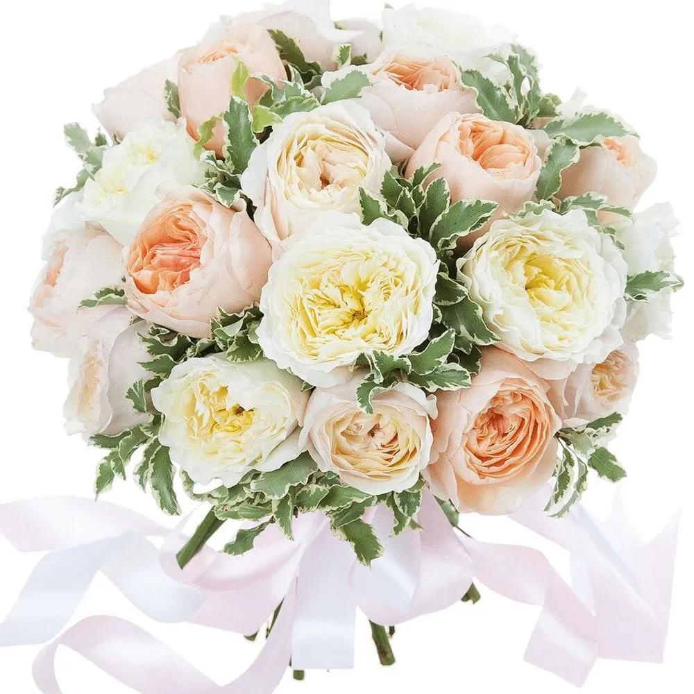 Розы Пионовидные микс №1